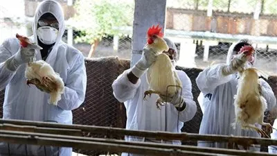 أمانة الجوف تعلن إغلاق ساحات البيع بسبب 