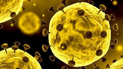 مدير الحجر الصحي: ظهور فيروس كورونا الجديد أمر طبيعي