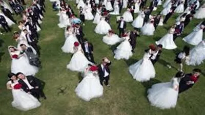 اليوم.. زفاف لـ50 عروسة بحضور محافظ الجيزة وعدد من الوزراء 