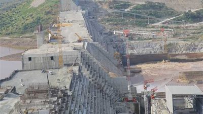 وزير الري يكشف عن كارثة يسببها سد النهضة (فيديو)