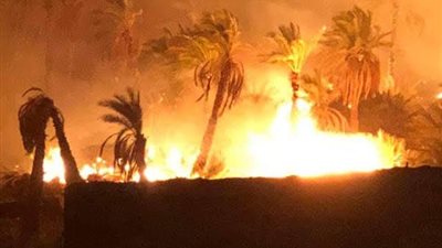 عاجل.. اندلاع حرائق نتيجة الطقس السيئ في قنا