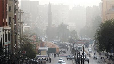عاجل.. تحذيرات وزارة الصحة لمرضى الحساسية والحوامل بسبب الطقس السيئ