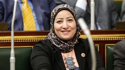 برلمانية: قرار تأجيل الدراسة يؤكد الحرص على صحة المواطنين