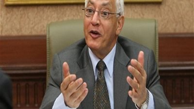 علي الدين هلال: آداء الدولة المصرية في إدارة أزمتي الكورونا والطقس متميز