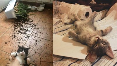 الطالع الفلكي الخَمِيس 19/3/2020..بَصْمَتك الخَاصّة!