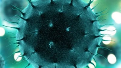 القارة الوحيدة التي لم يدخلها فيروس كورونا حتى الآن