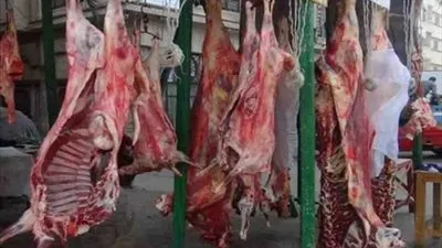 أسعار اللحوم اليوم الجمعة 20-3-2020 