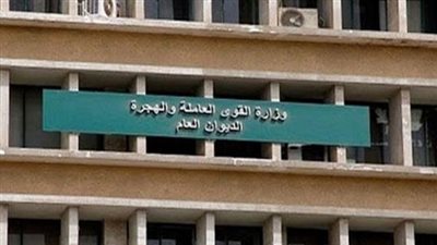 وزارة القوى العاملة تتلقى الشكاوى عبر الخط الساخن أو الموقع الإلكتروني للوقاية من 