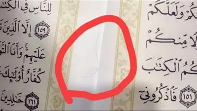 وزير الأوقاف يرد على حقيقة علاج شعرة لكورونا في سورة البقرة