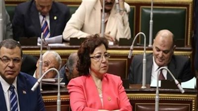 برلمانية مشيدة بقرار حظر حركة المواطنين: يقلل انتشار كورونا