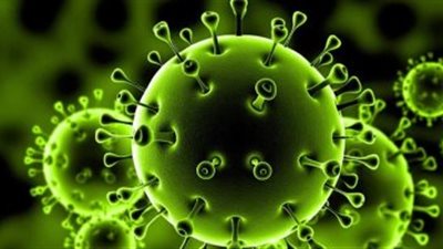 هل سيواصل كورونا انتشاره في العالم أم لا؟