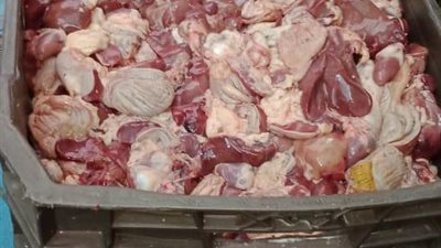 إحباط ترويج طن ونصف لحوم فاسدة ومتعفنة بالجيزة
