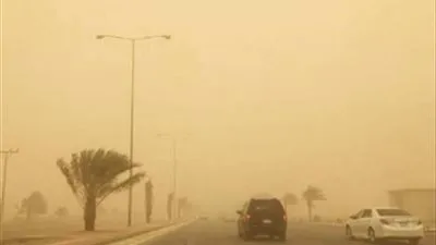 تحذير عاجل من الأرصاد لمرضى الصدر والجهاز التنفسي 