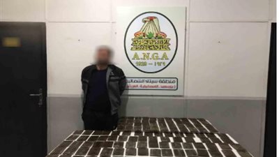 سقوط 3 عناصر إجرامية بحوزتهم 176 طربة حشيش في 3 محافظات