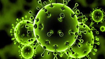 مجلس الوزراء يعلن موعد انتهاء مرحلة الخطر في مواجهة كورونا