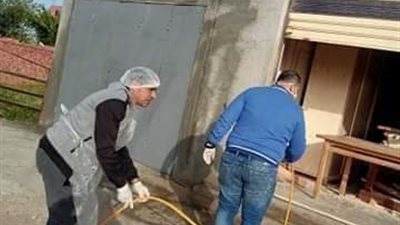 تطهير وتعقيم شوارع شربين وقراها في الدقهلية 