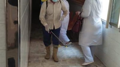 حملات تطهير بشوارع ومستشفيات مدينة أجا وقراها في الدقهلية 