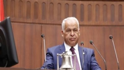 فرج عامر: نتواصل مع العالقين في الصين لسد متطلباتهم