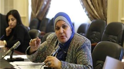 برلمانية تطالب التنمية المحلية بإزالة عربات الطعام المتنقلة