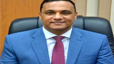 محافظ الدقهلية يكشف عن جهود المحافظة للوقاية من فيروس كورونا