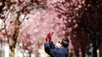 ارتفاع حالات الإصابة المؤكدة بكورونا في ألمانيا لليوم الثالث علي التوالي