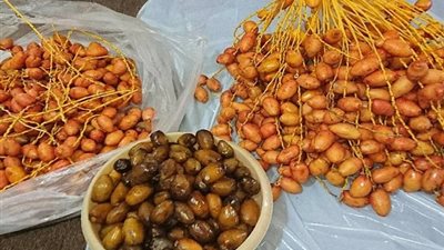 أسعار البلح اليوم الجمعة 10-4-2020