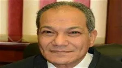 د. بهاء حلمي يكتب: معايير الأمن والسلامة بالملاعب الرياضية