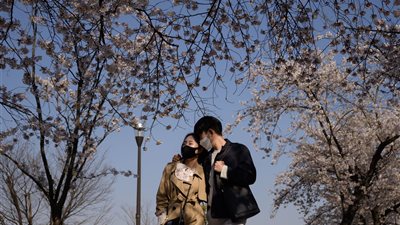 استمرار انخفاض أعداد الإصابات في كوريا الجنوبية 