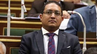 بعد واقعة شبرا البهو.. برلماني: قانون مفوضية عدم التمييز أصبح ضرورة