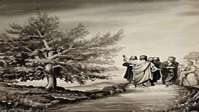  تعرف على قصة شجرة التين الغير مثمرة.. ولماذا لعنها السيد المسيح