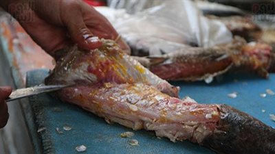 أسعار الفسيخ والرنجة في الأسواق.. الكيلو يبدأ من 100 جنيه