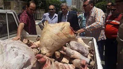 ضبط محال شهيرة تبيع لحوم الحمير للمواطنين بالمعصرة (فيديو)