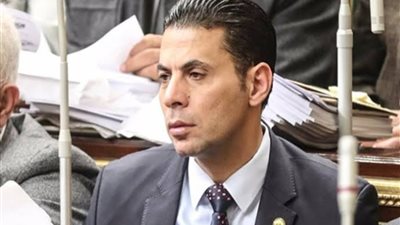 برلماني: مصر لن يهدأ لها بال إلا بالقضاء على الإرهابيين