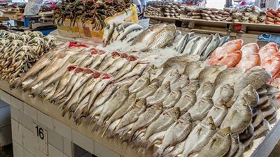 تعرف على أسعار الأسماك في الأسواق اليوم الأربعاء 15-4-2020