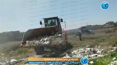 شاهد.. استرداد 6 أفدنة من أراضي الدولة في الإسكندرية  (فيديو)