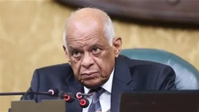 رئيس البرلمان: تعديل قانون الطوارئ لمنح السيسي هذه الصلاحيات (فيديو)