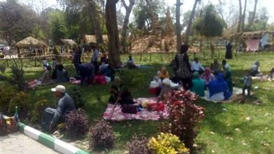 الزراعة: نرفع كفاءة الحدائق لاستقبال المواطن بعد افتتاحها