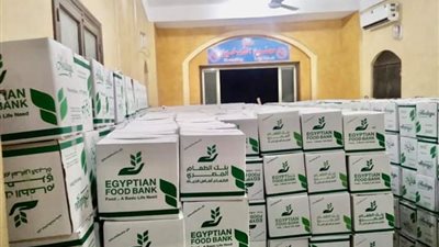 توزيع 2000 كرتونة على أهالي كفر العجمي المحجورين صحيا بكفر الشيخ (صور)