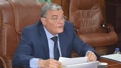 ضبط 9 أطنان فسيخ فاسد قبل تداولها بأسواق المنيا