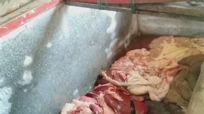 ضبط سلخانة غير مرخصة ومصادرة ذبيحة فاسدة قبل بيعها بالبحيرة (صور)