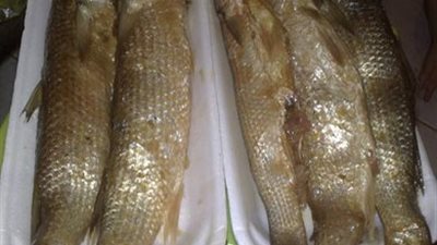 ضبط كمية من الفسيخ والرنجة الفاسدة قبل ترويجها بالبحيرة (صور)