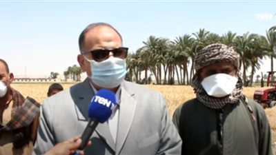 محافظ أسيوط: ننتج 650 ألف طن من القمح سنويا (فيديو)