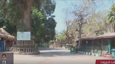 خبر سار من حديقة الحيوان بالجيزة إلى المصريين