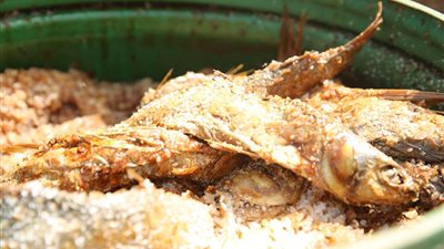 ضبط 2.5 طن فسيخ غير صالح للاستهلاك الآدمى بالقاهرة