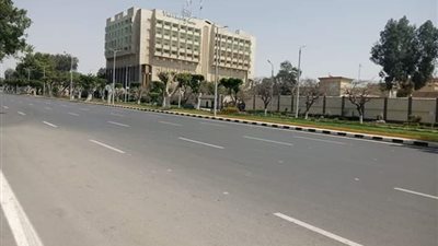 شم النسيم بطعم 