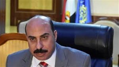 محافظ أسوان: 