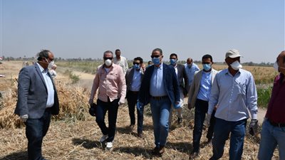 محافظ الفيوم يتابع أعمال حصاد القمح بطامية