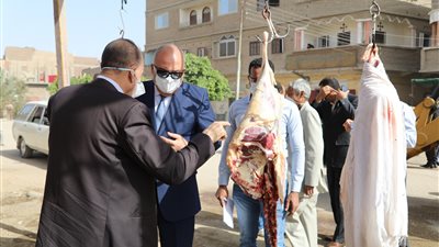 محافظ قنا: رصد حركة البيع بمحلات الجزارة.. ومحاضر خارج السلخانة