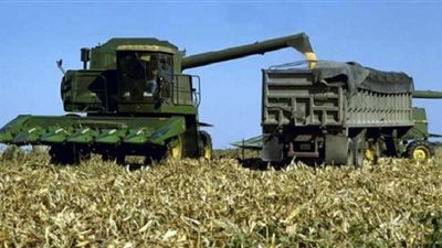 6 % زيادة بقيمة الإنتاج الزراعي المصري