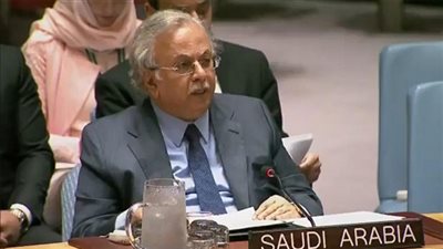 مندوب المملكة: مكافحة 